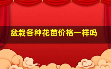 盆栽各种花苗价格一样吗