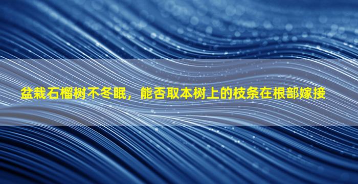 盆栽石榴树不冬眠，能否取本树上的枝条在根部嫁接