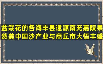 盆栽花的各海丰县逢源南充嘉陵果然美中国沙产业与商丘市大悟丰盛种养合作社(盆栽花有哪些)