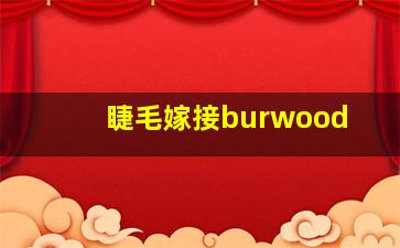 睫毛嫁接burwood