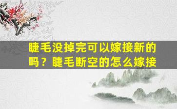 睫毛没掉完可以嫁接新的吗？睫毛断空的怎么嫁接