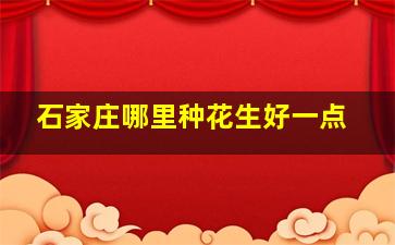 石家庄哪里种花生好一点