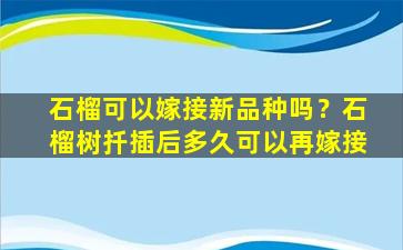 石榴可以嫁接新品种吗？石榴树扦插后多久可以再嫁接