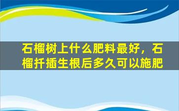 石榴树上什么肥料最好，石榴扦插生根后多久可以施肥