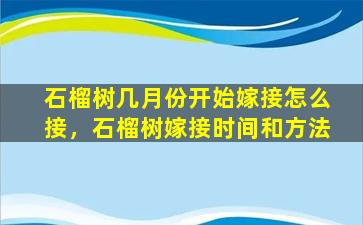 石榴树几月份开始嫁接怎么接，石榴树嫁接时间和方法