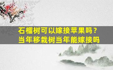 石榴树可以嫁接苹果吗？当年移栽树当年能嫁接吗