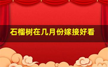 石榴树在几月份嫁接好看