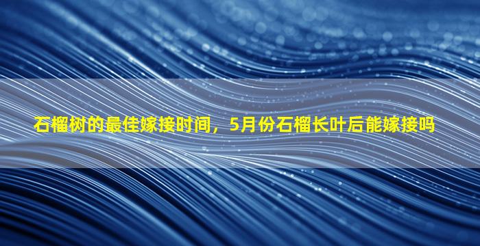 石榴树的最佳嫁接时间，5月份石榴长叶后能嫁接吗