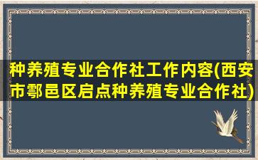 种养殖专业合作社工作内容(西安市鄠邑区启点种养殖专业合作社)