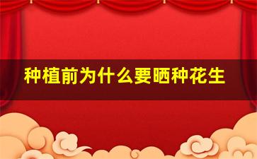 种植前为什么要晒种花生