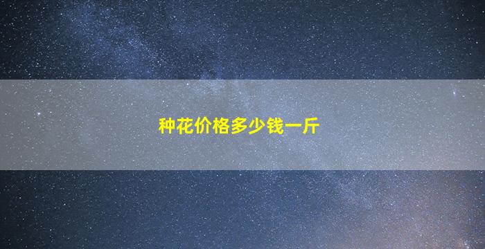 种花价格多少钱一斤