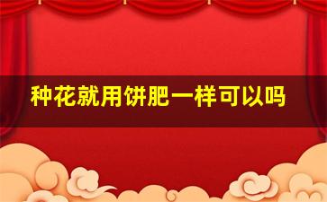 种花就用饼肥一样可以吗