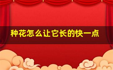 种花怎么让它长的快一点