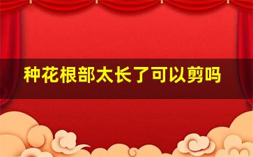 种花根部太长了可以剪吗