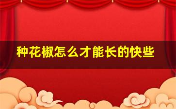 种花椒怎么才能长的快些