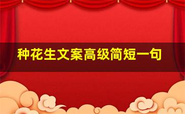 种花生文案高级简短一句