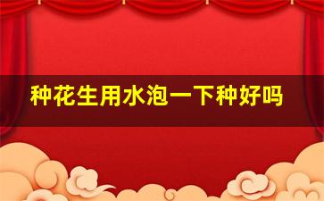 种花生用水泡一下种好吗