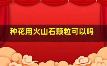 种花用火山石颗粒可以吗