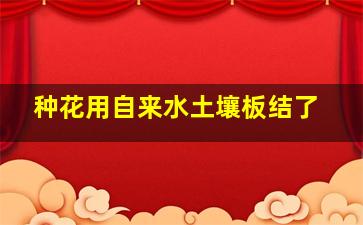 种花用自来水土壤板结了