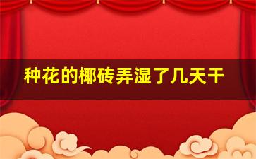 种花的椰砖弄湿了几天干