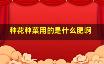 种花种菜用的是什么肥啊