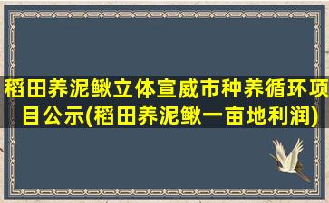 稻田养泥鳅立体宣威市种养循环项目公示(稻田养泥鳅一亩地利润)