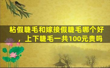 粘假睫毛和嫁接假睫毛哪个好，上下睫毛一共100元贵吗