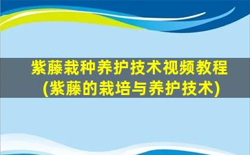 紫藤栽种养护技术视频教程(紫藤的栽培与养护技术)