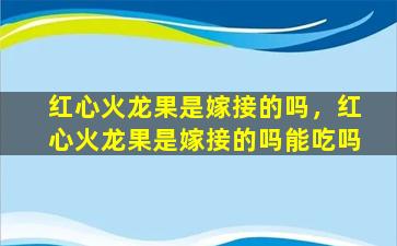 红心火龙果是嫁接的吗，红心火龙果是嫁接的吗能吃吗