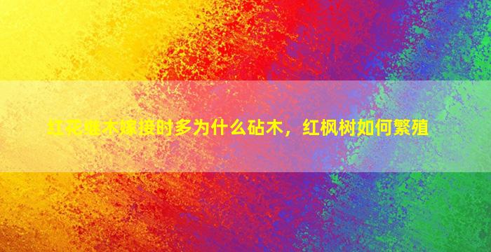 红花继木嫁接时多为什么砧木，红枫树如何繁殖