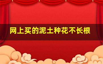 网上买的泥土种花不长根