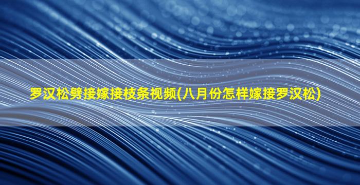 罗汉松劈接嫁接枝条视频(八月份怎样嫁接罗汉松)