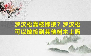 罗汉松靠枝嫁接？罗汉松可以嫁接到其他树木上吗