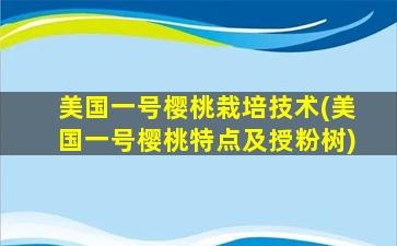 美国一号樱桃栽培技术(美国一号樱桃特点及授粉树)