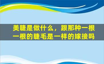 美睫是做什么，跟那种一根一根的睫毛是一样的嫁接吗