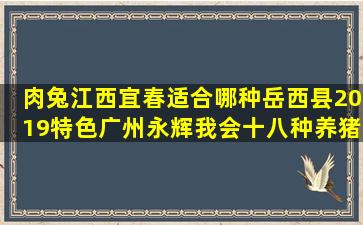 肉兔江西宜春适合哪种岳西县2019特色广州永辉我会十八种养猪技巧乐文