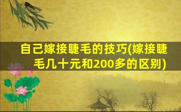 自己嫁接睫毛的技巧(嫁接睫毛几十元和200多的区别)