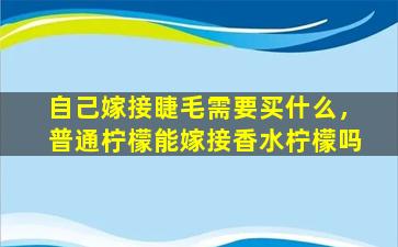 自己嫁接睫毛需要买什么，普通柠檬能嫁接香水柠檬吗