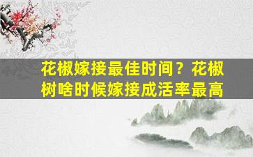 花椒嫁接最佳时间？花椒树啥时候嫁接成活率最高