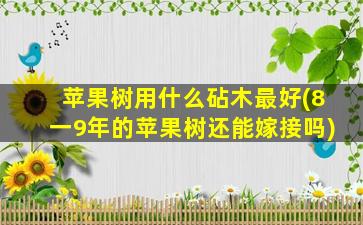 苹果树用什么砧木最好(8一9年的苹果树还能嫁接吗)