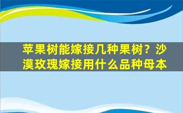 苹果树能嫁接几种果树？沙漠玫瑰嫁接用什么品种母本