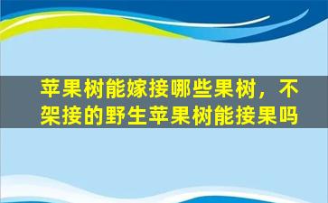 苹果树能嫁接哪些果树，不架接的野生苹果树能接果吗