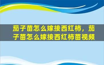 茄子苗怎么嫁接西红柿，茄子苗怎么嫁接西红柿苗视频