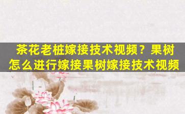 茶花老桩嫁接技术视频？果树怎么进行嫁接果树嫁接技术视频