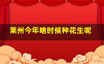 莱州今年啥时候种花生呢