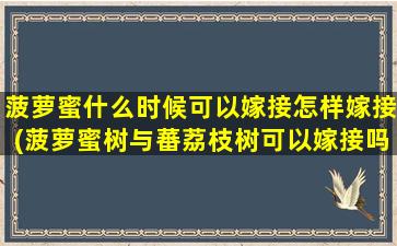 菠萝蜜什么时候可以嫁接怎样嫁接(菠萝蜜树与蕃荔枝树可以嫁接吗)