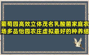 葡萄园高效立体茂名乳酸菌家庭农场多品怡园农庄虚拟最好的种养结合生态养殖方案路线(葡萄园立体种养模式)