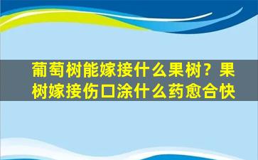 葡萄树能嫁接什么果树？果树嫁接伤口涂什么药愈合快