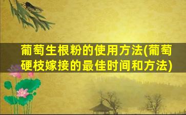 葡萄生根粉的使用方法(葡萄硬枝嫁接的最佳时间和方法)