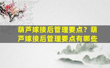 葫芦嫁接后管理要点？葫芦嫁接后管理要点有哪些